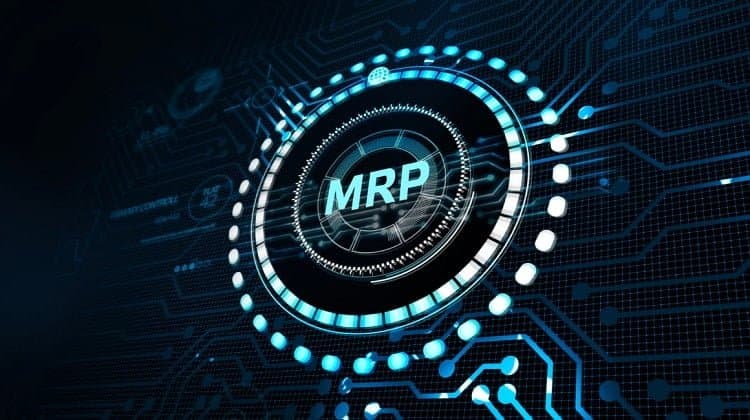 hệ thống mrp