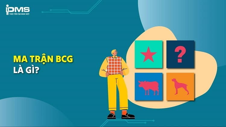 ma trận bcg