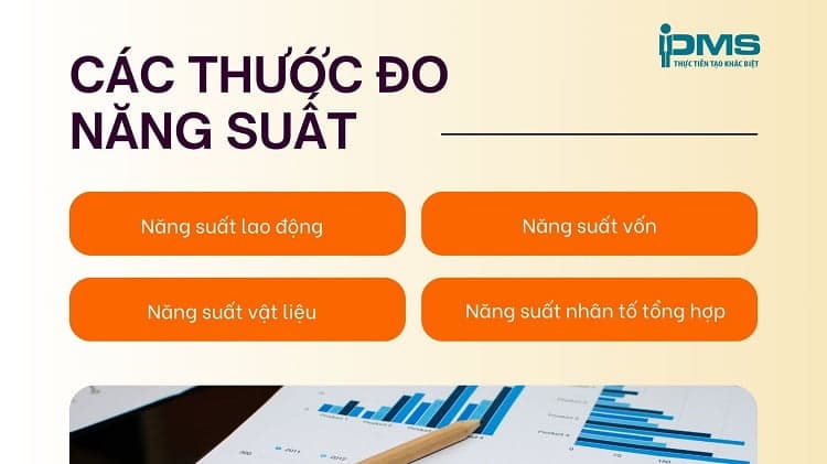 các thước đo lường năng suất