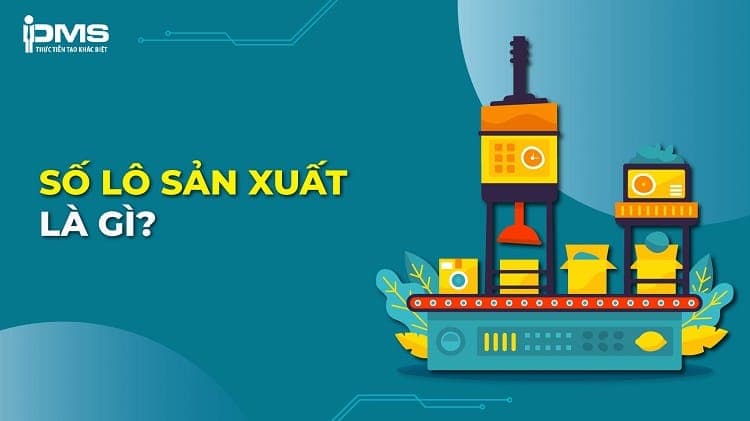 số lô sản xuất là gì