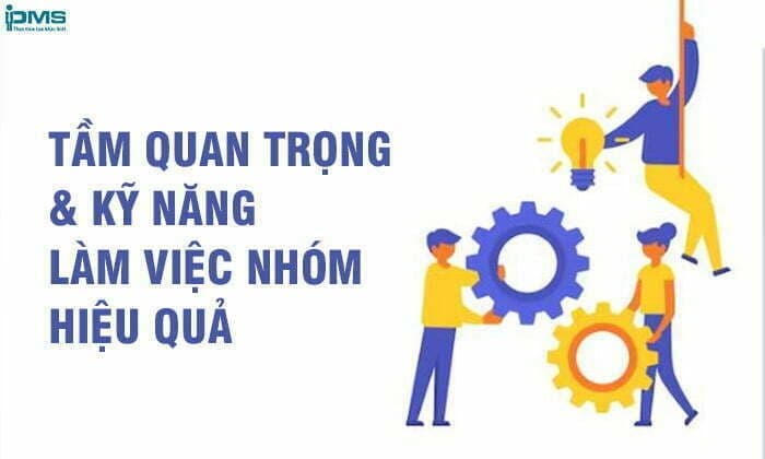 Tầm quan trọng và kỹ năng làm việc nhóm hiệu quả
