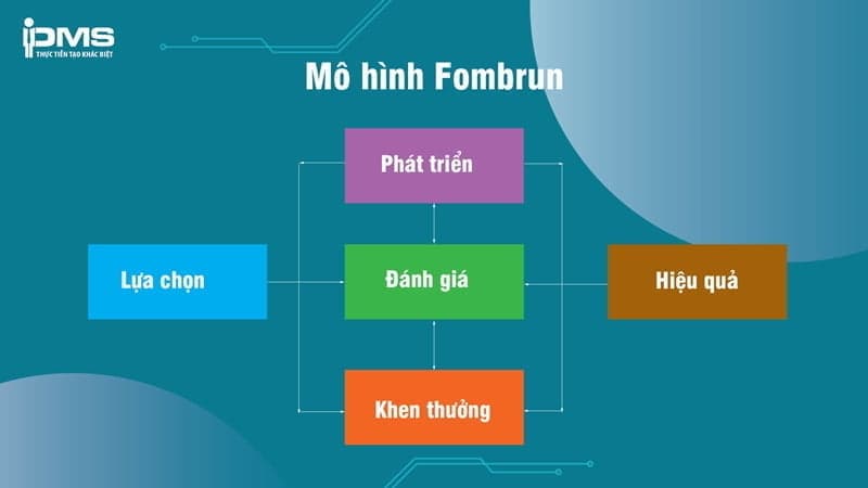 mô hình chiến lược nhân sự
