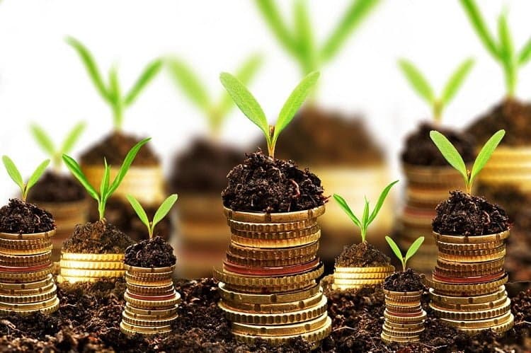 bán hàng online cần làm những gì