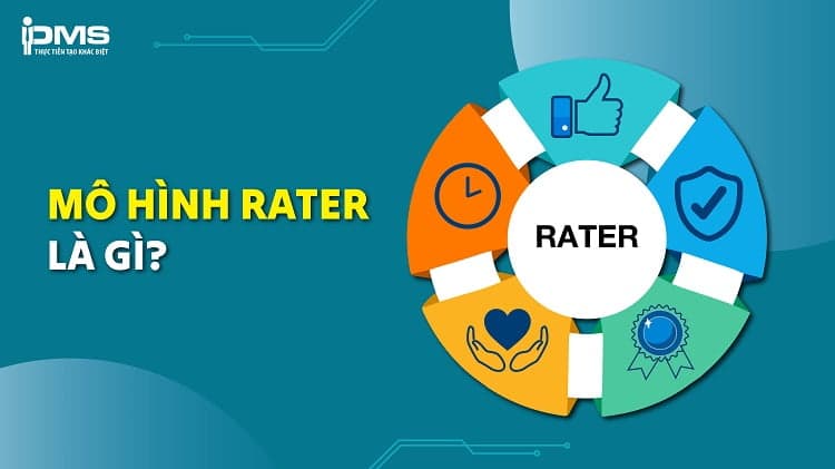 mô hình rater là gì
