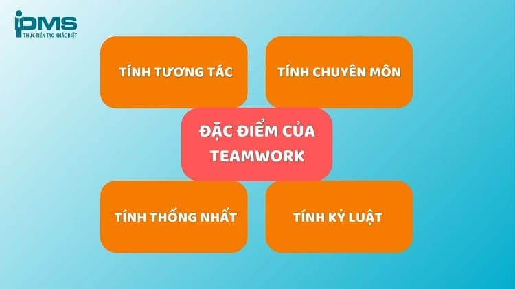 đặc điểm của teamwork