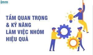 Kỹ Năng Làm Việc Nhóm