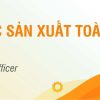 Giám Đốc Sản Xuất Toàn Diện - CPO 2 khóa học giám đốc sản xuất toàn diện