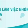 Khóa học kỹ năng làm việc nhóm hiệu quả - Học viện PMS