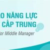 khóa học nâng cao năng lực quản lý cấp trung
