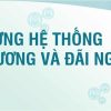 Khóa học xây dựng hệ thống tiền lương và dãi ngộ 3Ps