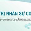 Quản Trị Nhân Sự Cơ Bản 2 Khóa học quản trị nhân sự cơ bản