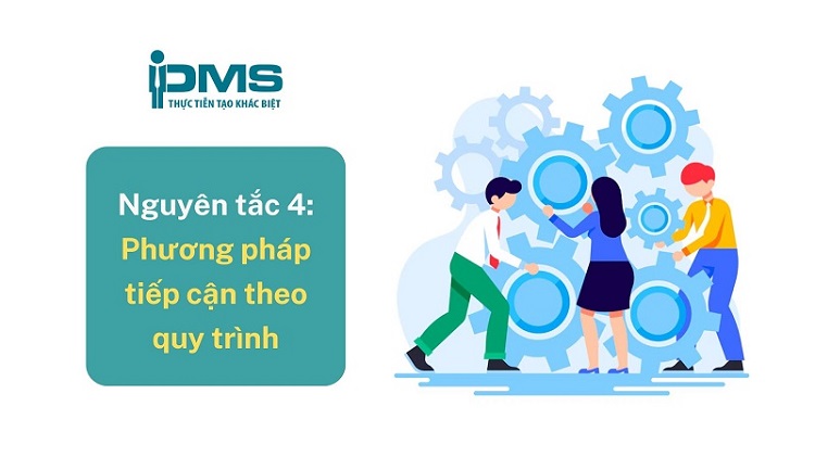 Giải thích 7 nguyên tắc quản lý chất lượng theo ISO 9001:2015 13 Nguyên tắc 4 Phương pháp tiếp cận theo quy trình