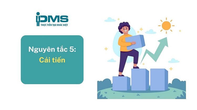 Giải thích 7 nguyên tắc quản lý chất lượng theo ISO 9001:2015 14 Nguyên tắc 5 Cải tiến