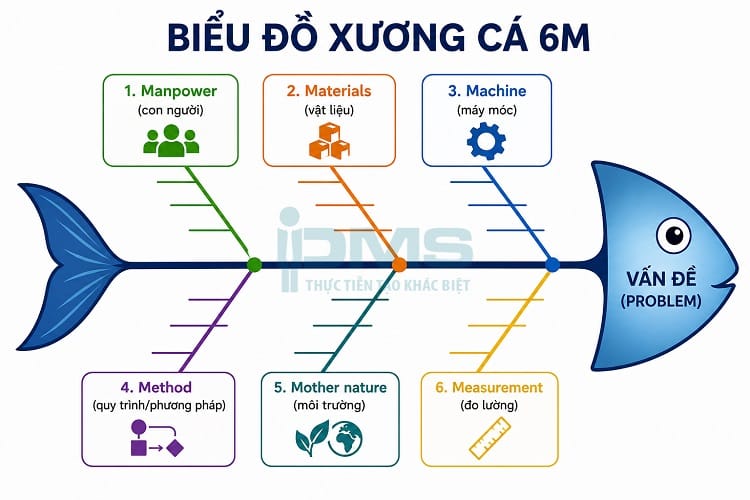 Biểu đồ nhân quả là gì? Tác dụng, phân loại và cách triển khai biểu đồ 13 Sơ đồ xương cá 6M