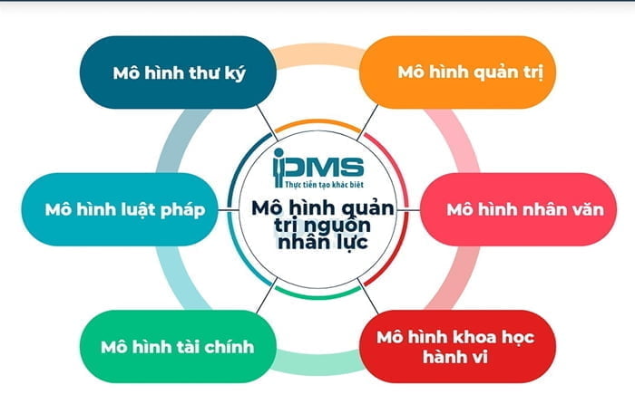 Quản trị nguồn nhân lực là gì? Vai trò, mục tiêu và chức năng 11 6 mô hình quản trị nguồn nhân lực