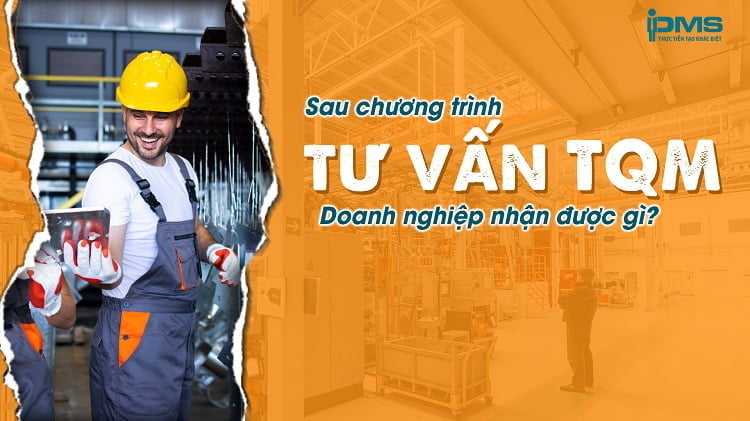 tư vấn quản lý chất lượng toàn diện
