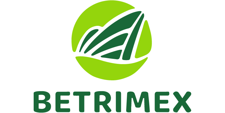 Giới thiệu 31 logo betrimex