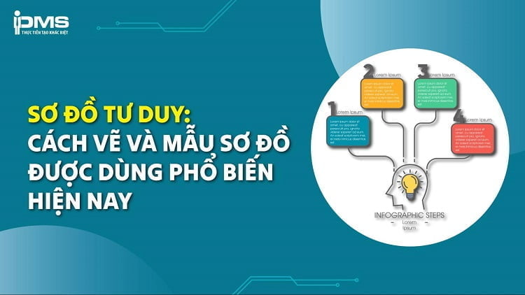 sơ đồ tư duy