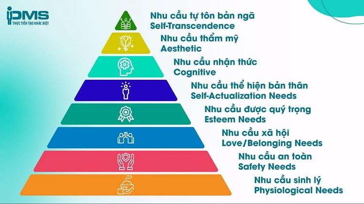 tháp nhu cầu maslow 8 bậc