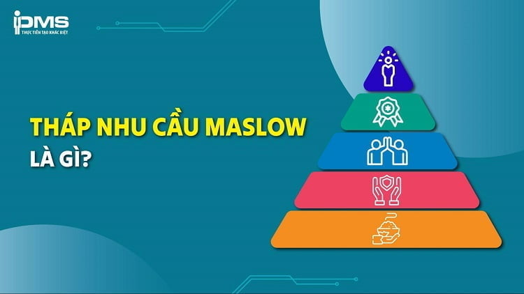 tháp nhu cầu maslow