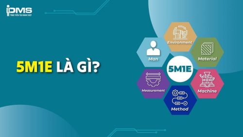 5M1E là gì? 6 yếu tố mô hình xương cá trong doanh nghiệp