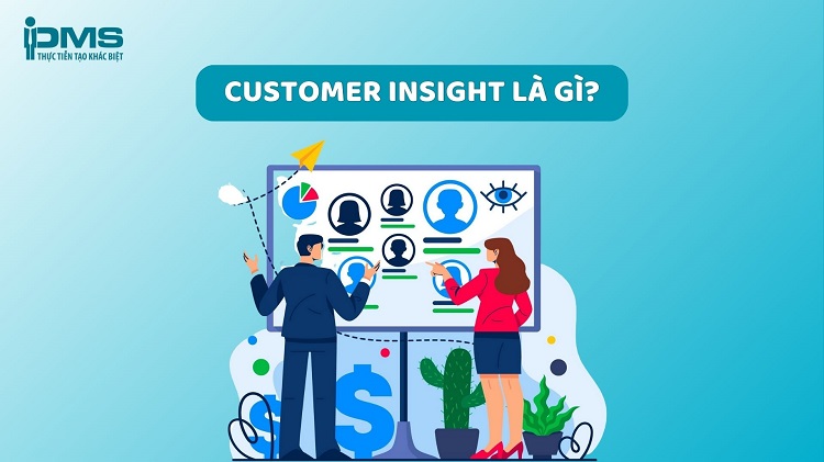 customer insight là gì