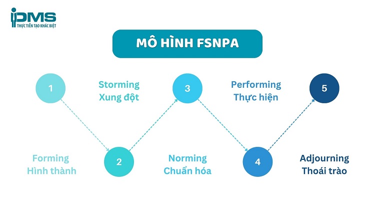 Top 12 mô hình làm việc nhóm phổ biến: Nên chọn loại nào tốt? 21 Mô hình FSNPA
