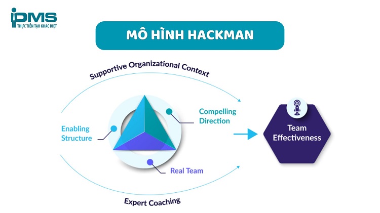 Top 12 mô hình làm việc nhóm phổ biến: Nên chọn loại nào tốt? 20 Mô hình Hackman