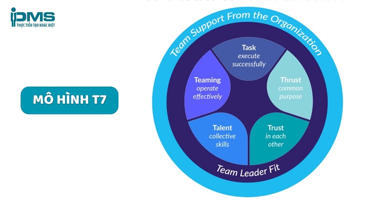 Top 12 mô hình làm việc nhóm phổ biến: Nên chọn loại nào tốt? 18 Mô hình T7