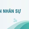 Khóa học Định Biên Nhân Sự